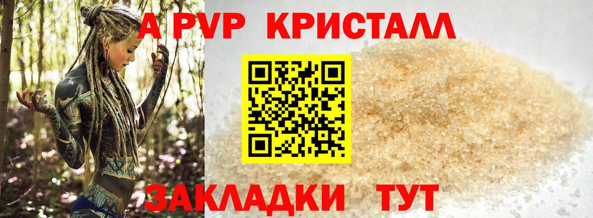 A PVP СК КРИС Грозный