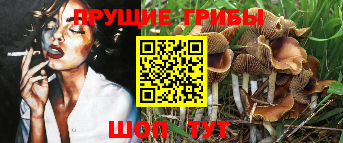 Галлюциногенные грибы прущие грибы  Галлюциногенные грибы прущие грибы  Грозный  Вход с VPN 